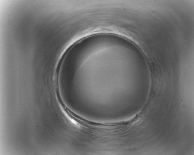 X0000066521519200603171205