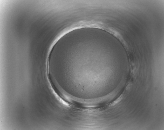 X0000066521520200603171205