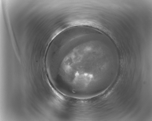 X0000066521521200603171205