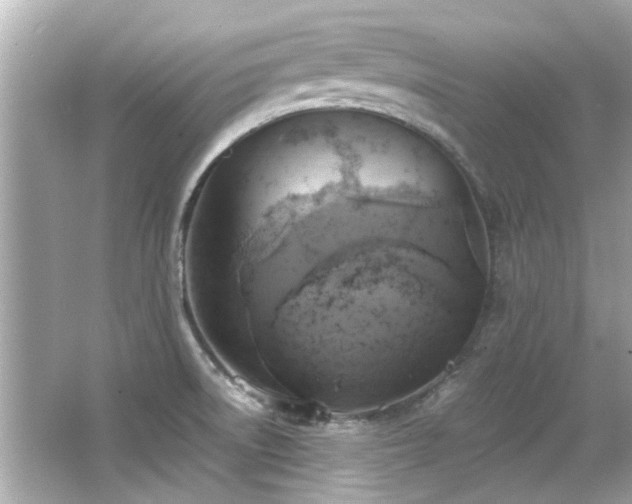 X0000066521522200603171205