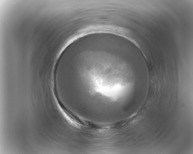 X0000066521523200603171205