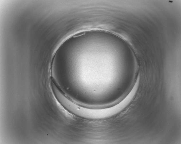 X0000066521524200603171205