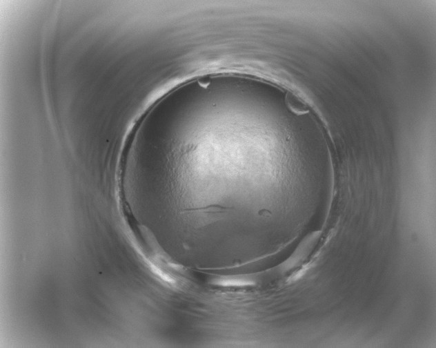 X0000066521525200603171205