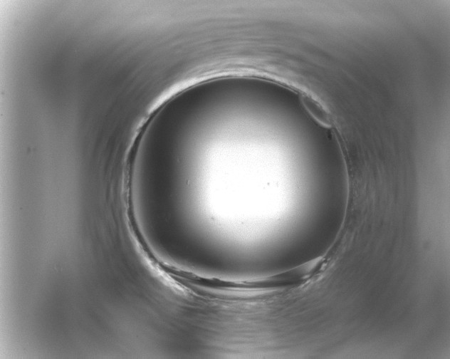 X0000066521526200603171205