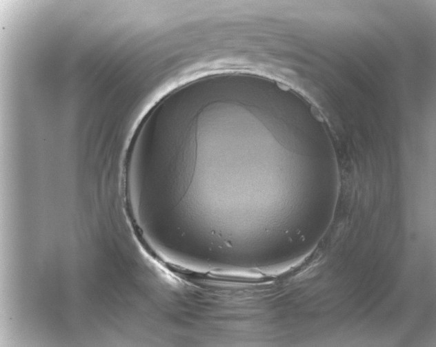 X0000066521527200603171205