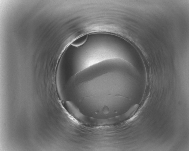 X0000066521529200603171205