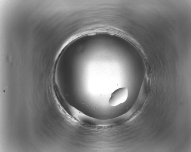 X0000066521530200603171205