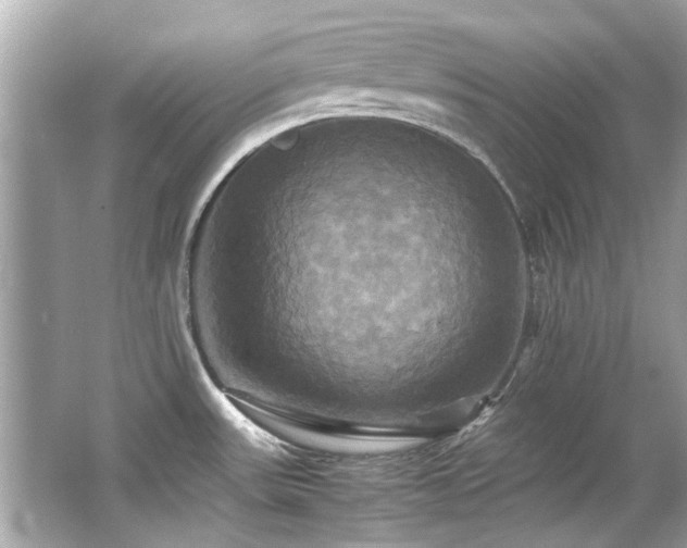 X0000066521531200603171205