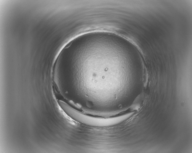 X0000066521532200603171205