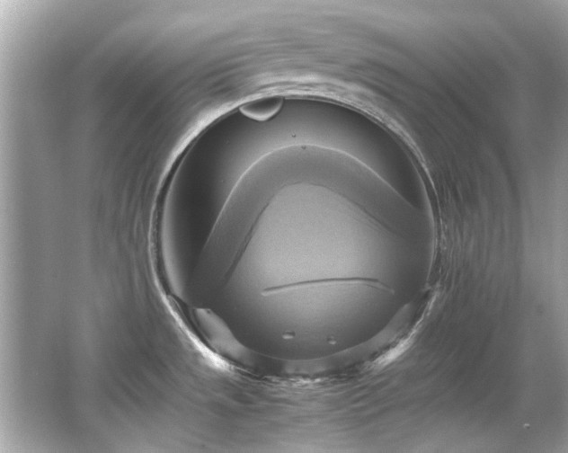 X0000066521533200603171205