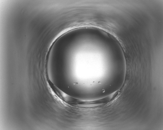 X0000066521534200603171205