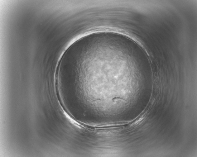 X0000066521535200603171205