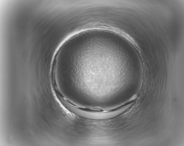 X0000066521536200603171205