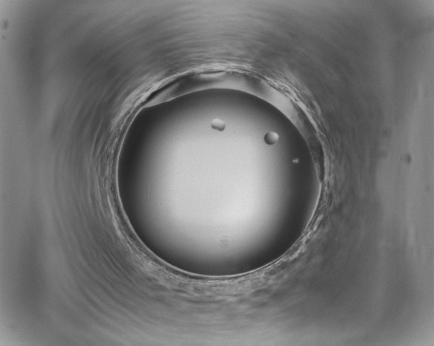 X0000066520001200603201335