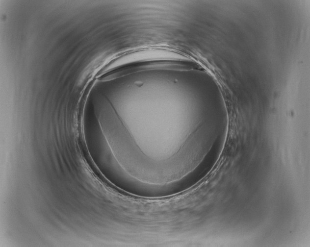 X0000066520002200603201335