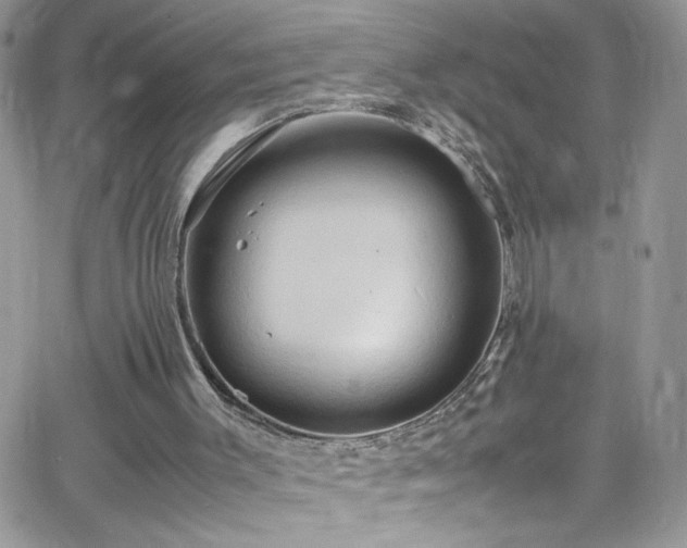 X0000066520003200603201335