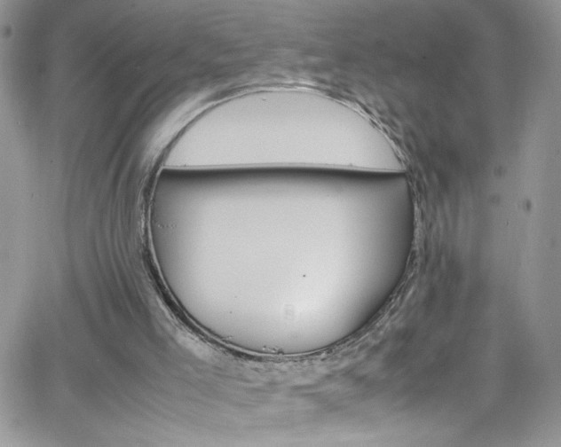 X0000066520005200603201335