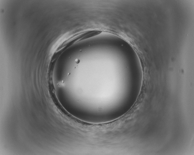 X0000066520007200603201335