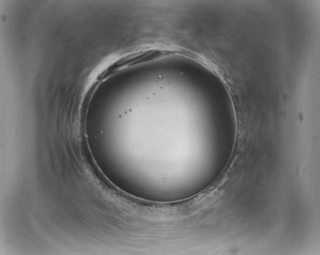 X0000066520008200603201335