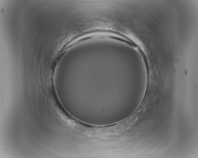 X0000066520009200603201335