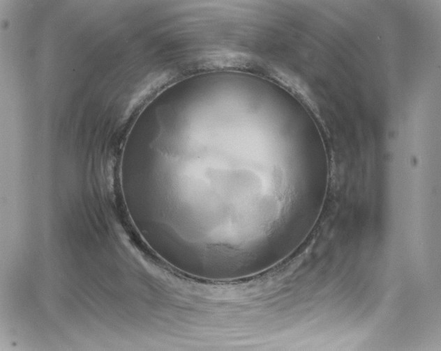 X0000066520010200603201335