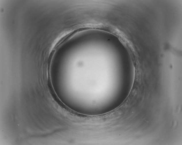 X0000066520011200603201335