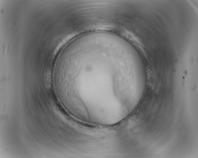 X0000066520012200603201335