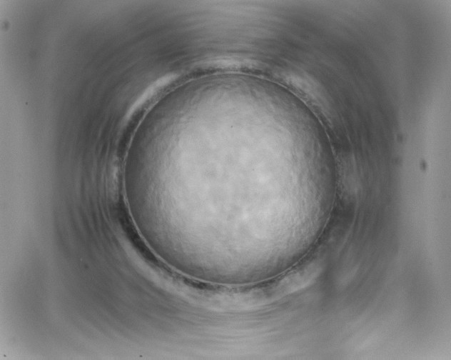 X0000066520016200603201335