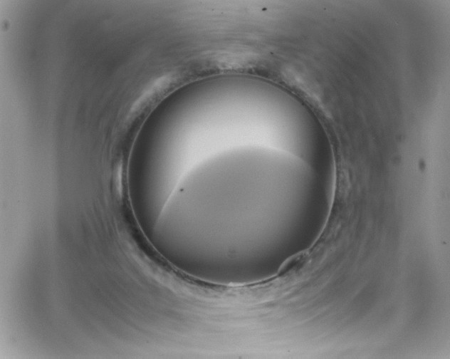 X0000066520019200603201335