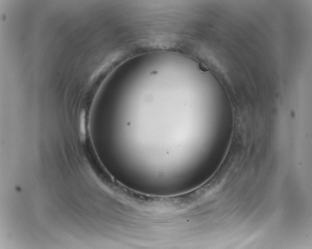 X0000066520020200603201335