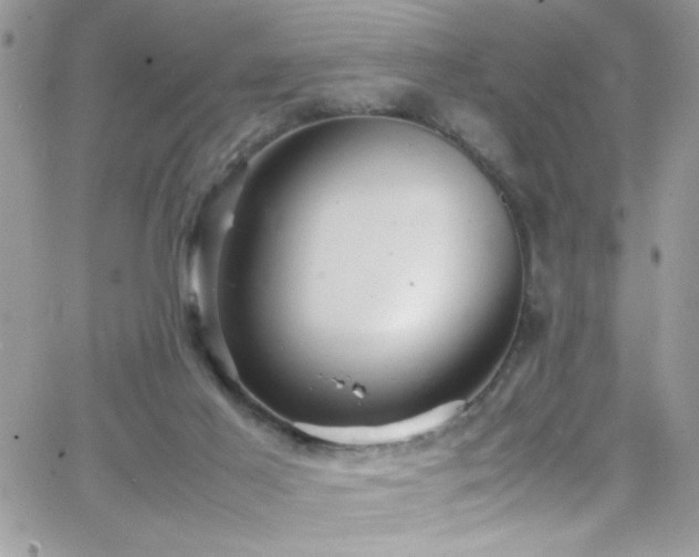 X0000066520021200603201335