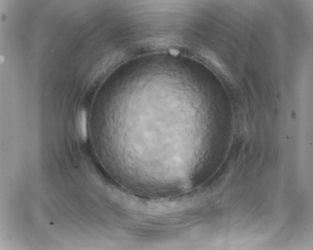 X0000066520022200603201335