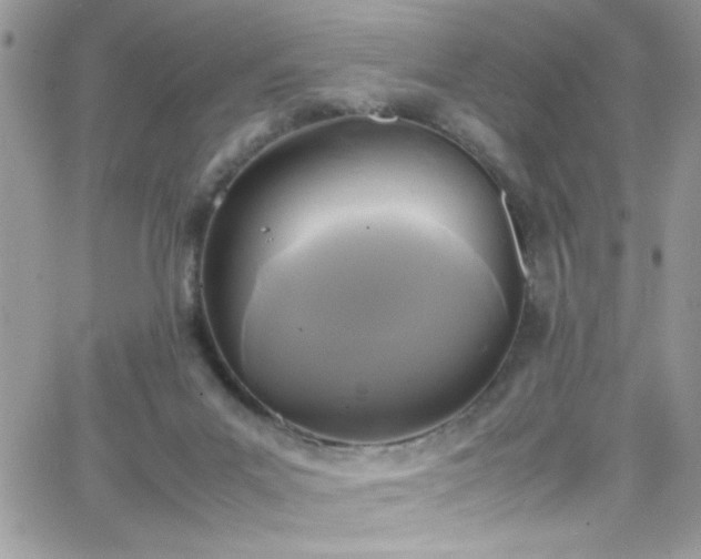 X0000066520023200603201335