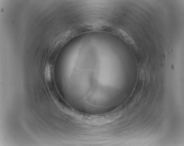 X0000066520026200603201335