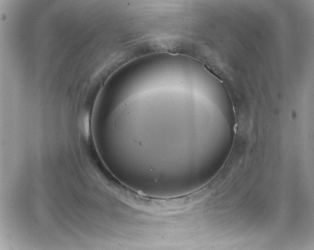 X0000066520027200603201335