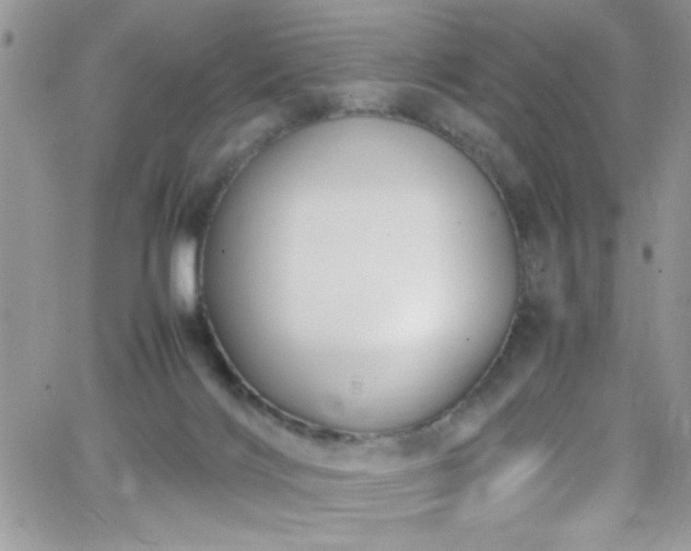 X0000066520028200603201335