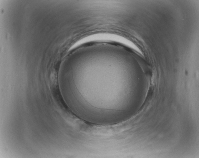 X0000066520029200603201335