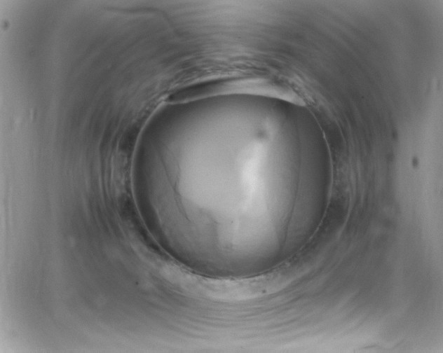 X0000066520030200603201335