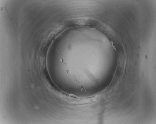 X0000066520031200603201335