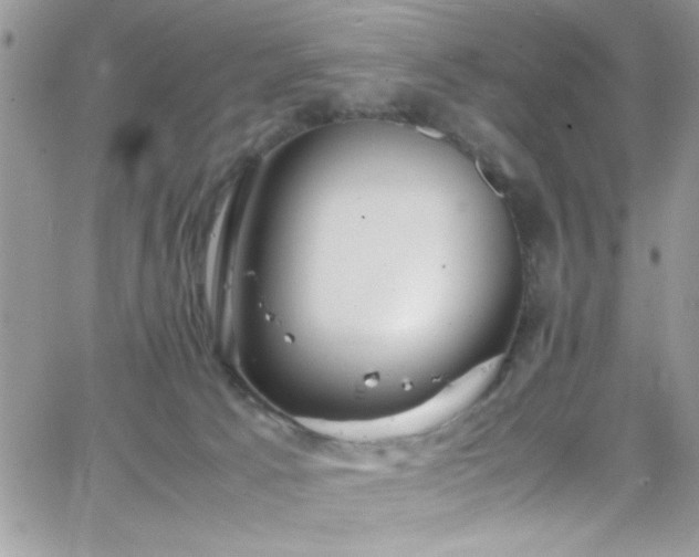 X0000066520033200603201335