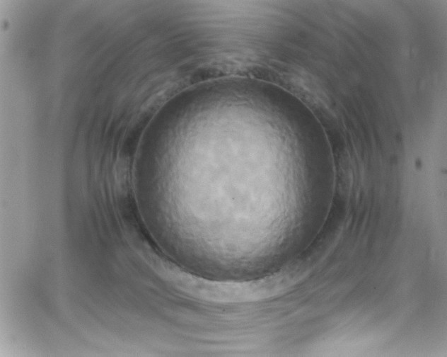 X0000066520034200603201335