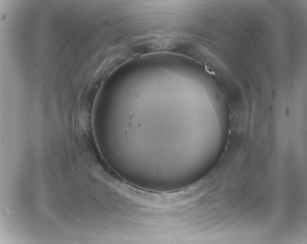 X0000066520035200603201335