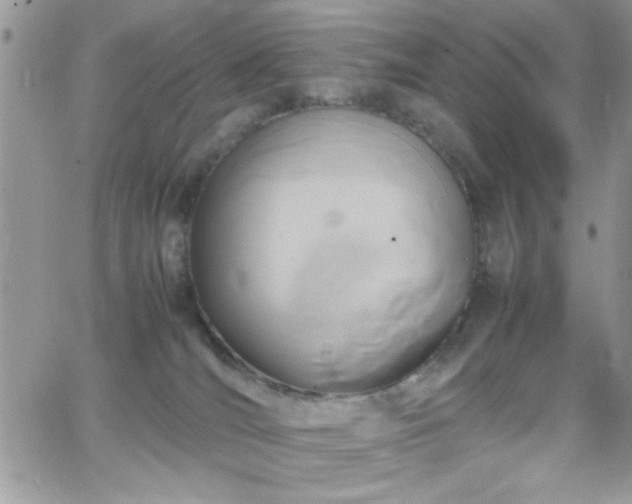 X0000066520036200603201335