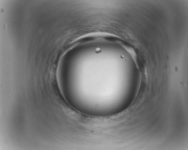 X0000066520037200603201335