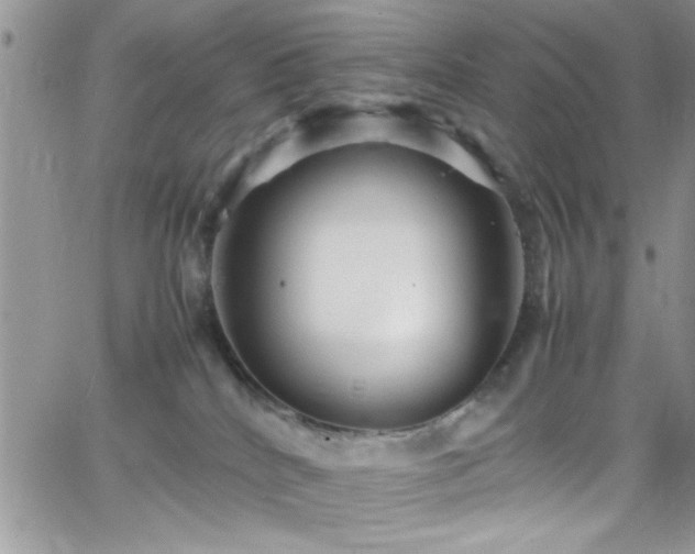 X0000066520040200603201335