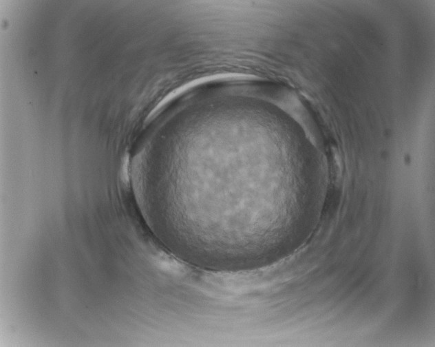 X0000066520041200603201335