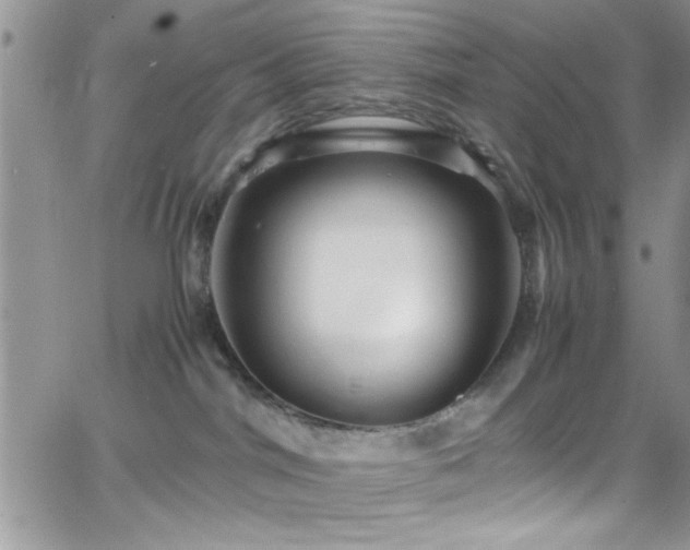 X0000066520044200603201335