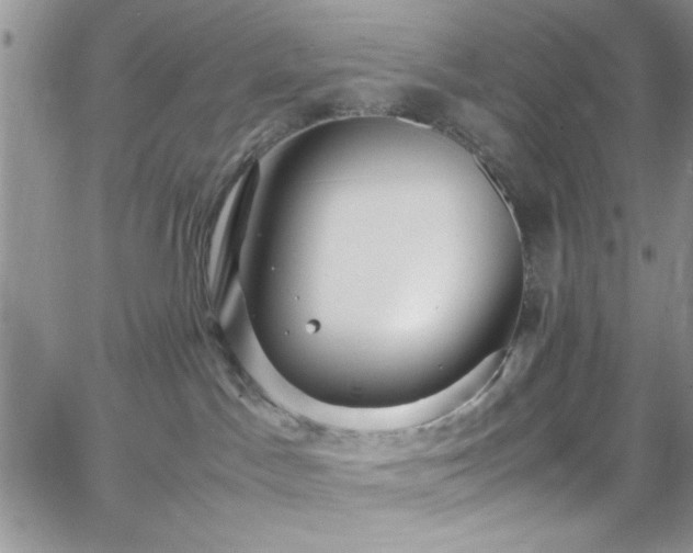 X0000066520045200603201335