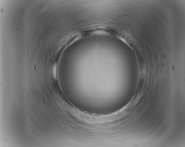 X0000066520047200603201334