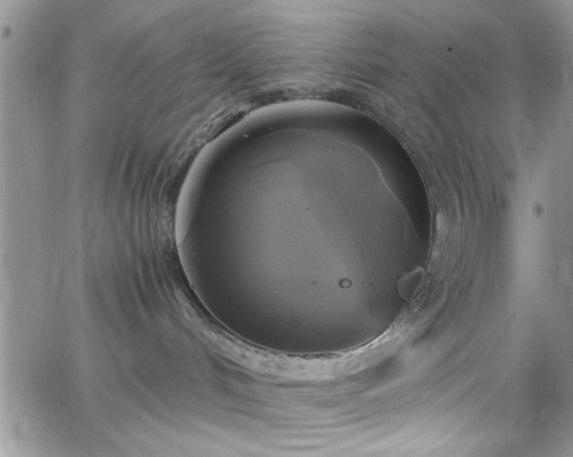 X0000066520048200603201334